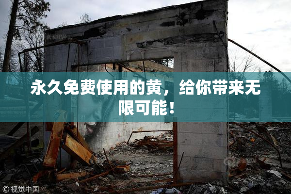 永久免费使用的黄，给你带来无限可能！
