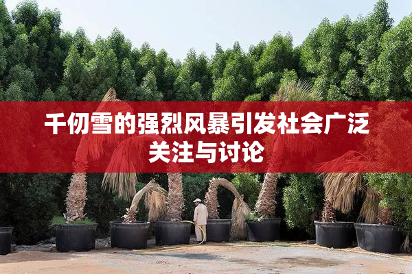 千仞雪的强烈风暴引发社会广泛关注与讨论