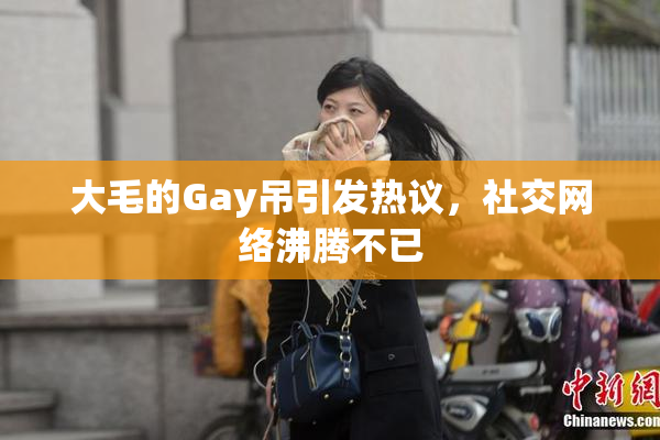 大毛的Gay吊引发热议，社交网络沸腾不已
