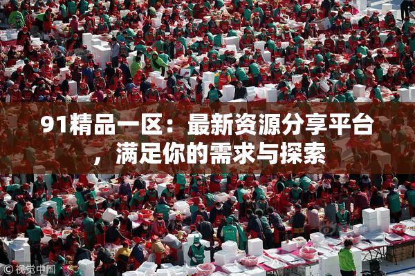 91精品一区：最新资源分享平台，满足你的需求与探索