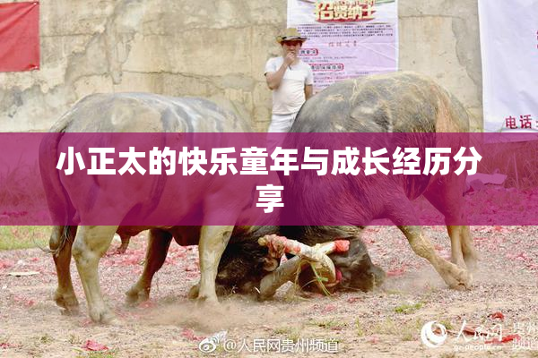 小正太的快乐童年与成长经历分享
