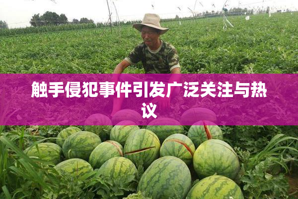 触手侵犯事件引发广泛关注与热议