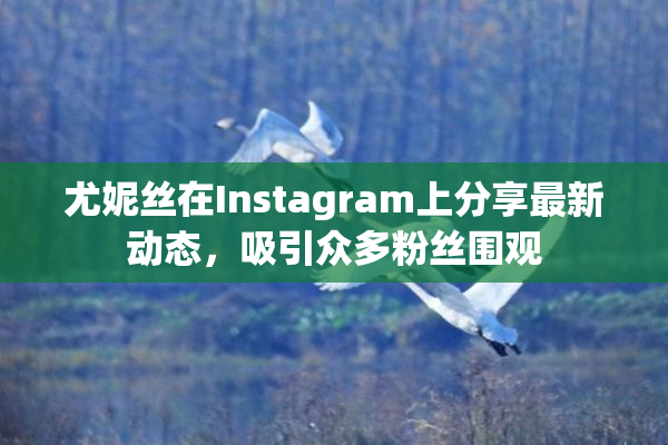 尤妮丝在Instagram上分享最新动态，吸引众多粉丝围观