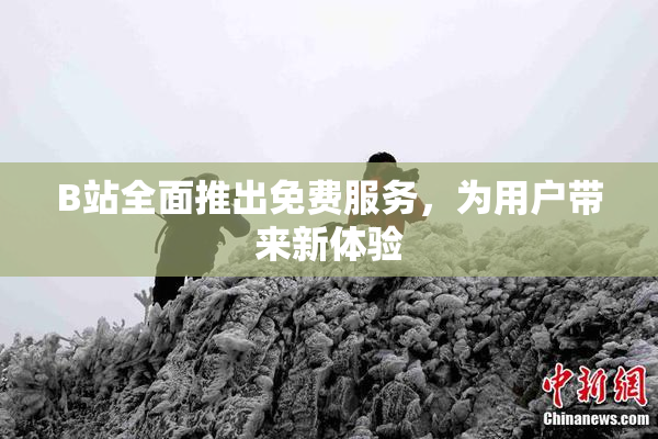 B站全面推出免费服务，为用户带来新体验