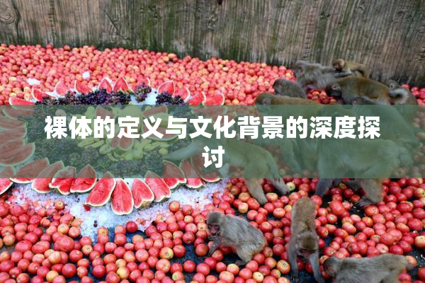 裸体的定义与文化背景的深度探讨
