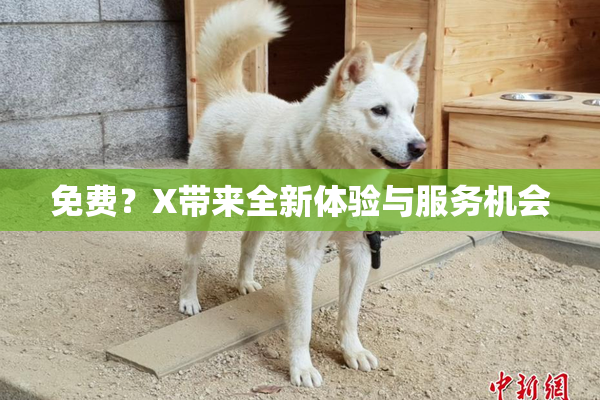免费？X带来全新体验与服务机会