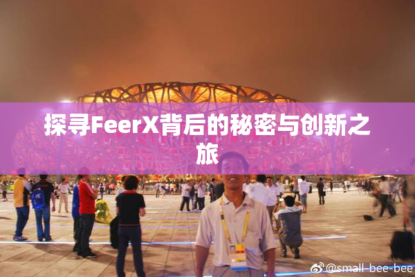 探寻FeerX背后的秘密与创新之旅