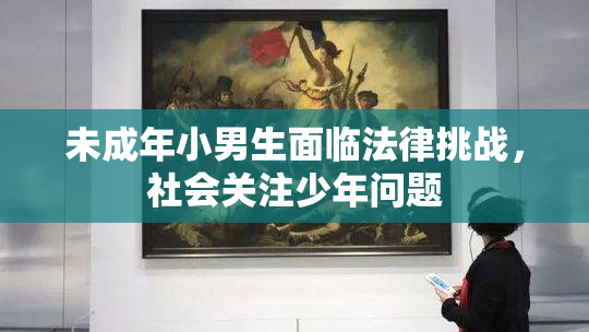 未成年小男生面临法律挑战，社会关注少年问题