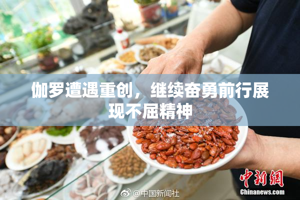 伽罗遭遇重创，继续奋勇前行展现不屈精神