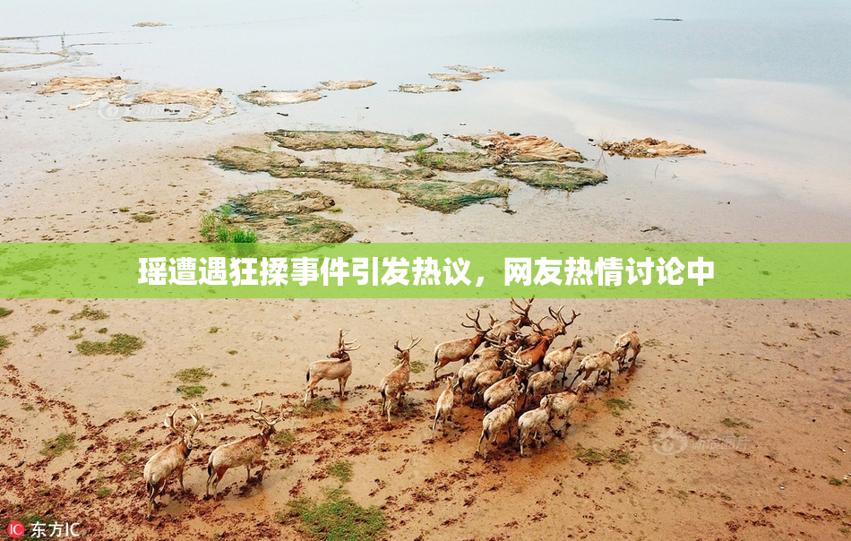 瑶遭遇狂揉事件引发热议，网友热情讨论中