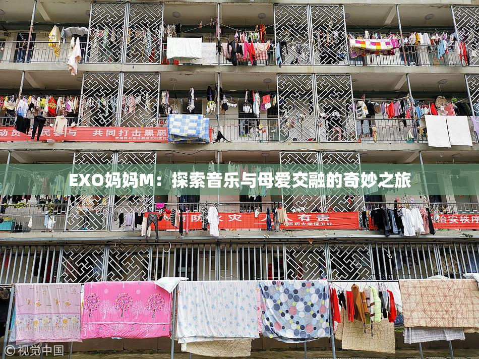 EXO妈妈M：探索音乐与母爱交融的奇妙之旅