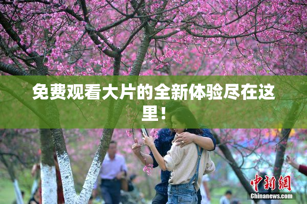 免费观看大片的全新体验尽在这里！
