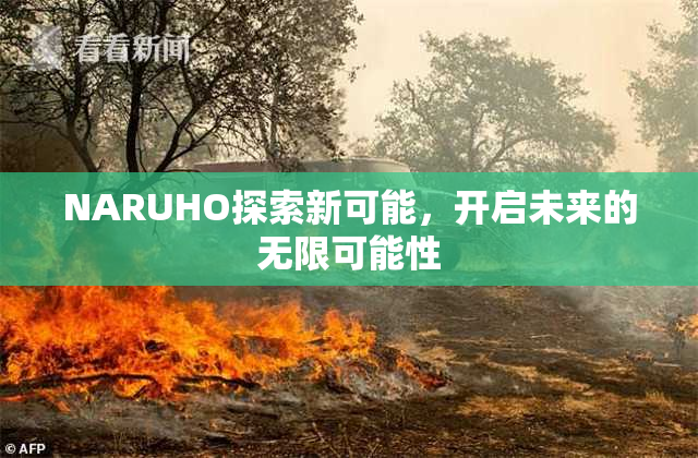 NARUHO探索新可能，开启未来的无限可能性