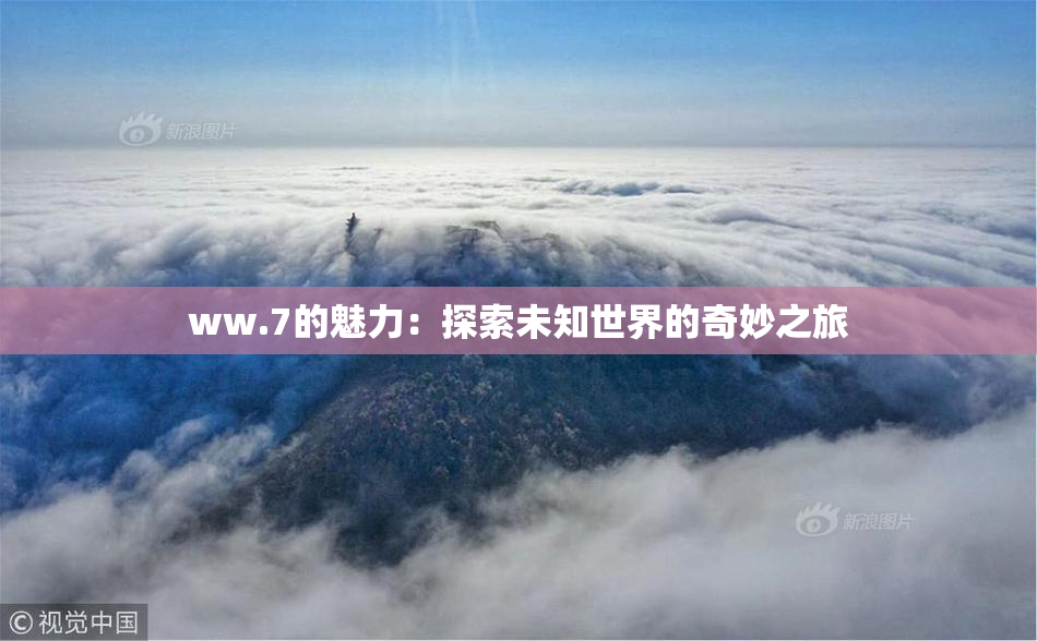 ww.7的魅力：探索未知世界的奇妙之旅