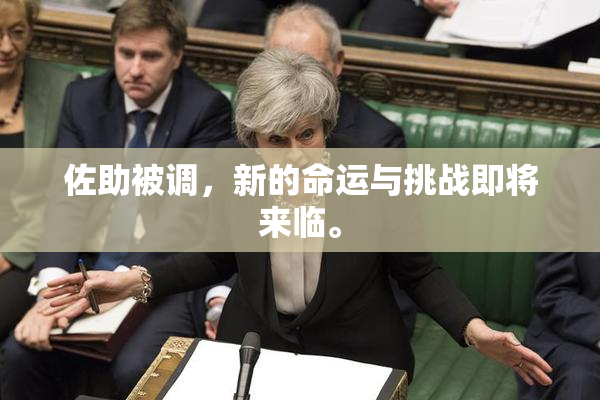 佐助被调，新的命运与挑战即将来临。