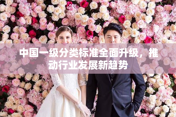 中国一级分类标准全面升级，推动行业发展新趋势