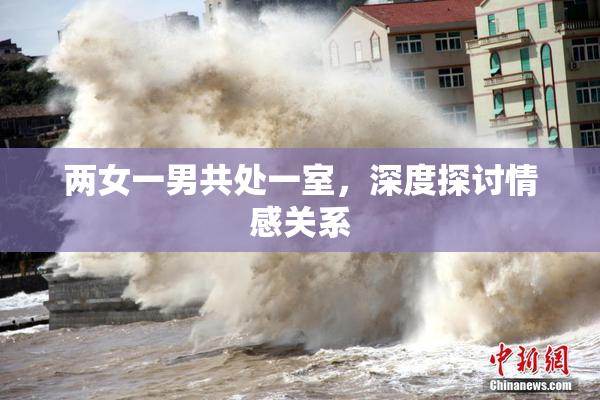 两女一男共处一室，深度探讨情感关系