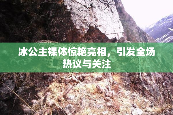 冰公主裸体惊艳亮相，引发全场热议与关注