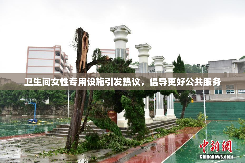 卫生间女性专用设施引发热议，倡导更好公共服务