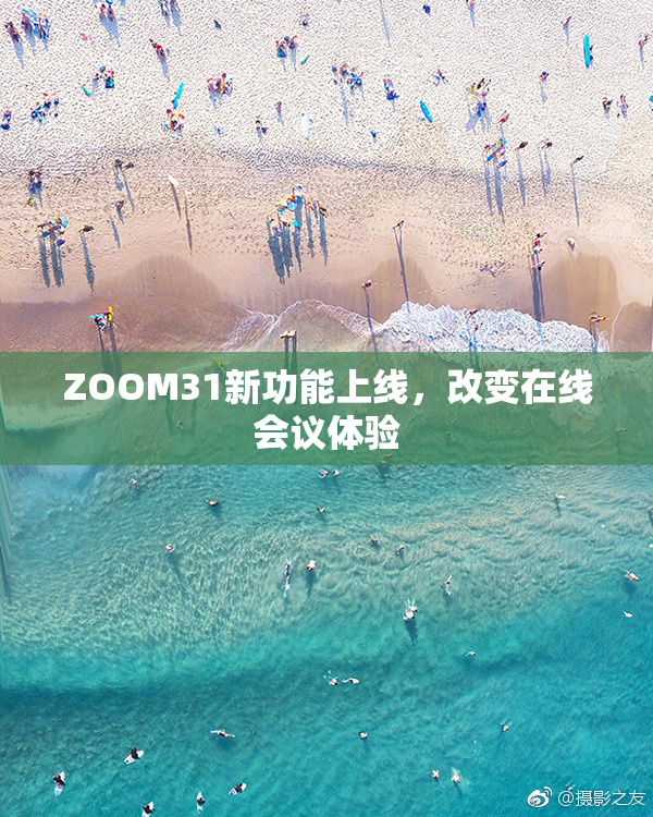 ZOOM31新功能上线，改变在线会议体验