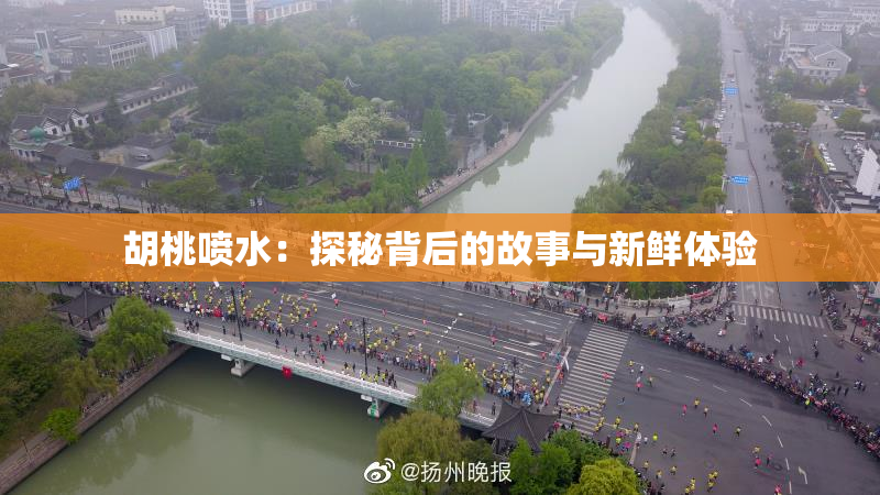 胡桃喷水：探秘背后的故事与新鲜体验