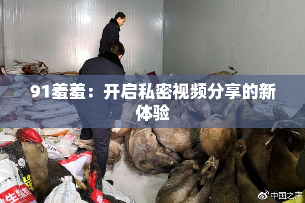 91羞羞：开启私密视频分享的新体验