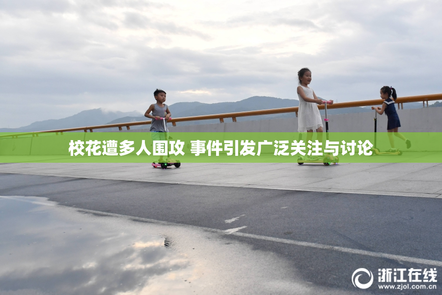 校花遭多人围攻 事件引发广泛关注与讨论