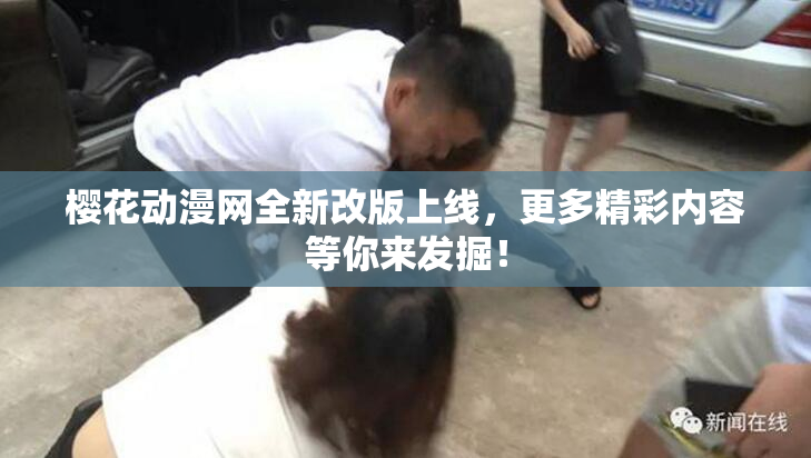 樱花动漫网全新改版上线，更多精彩内容等你来发掘！