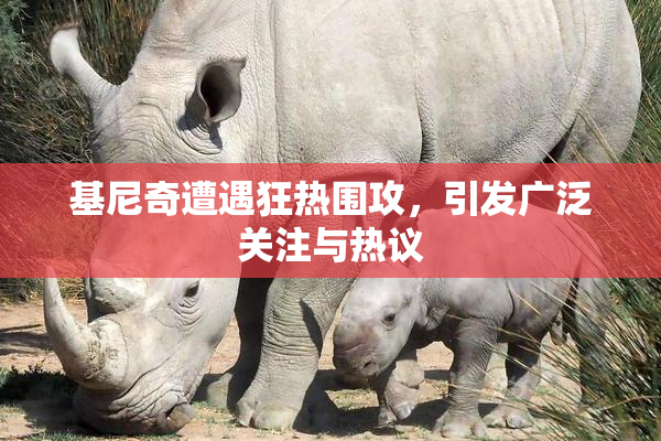 基尼奇遭遇狂热围攻，引发广泛关注与热议