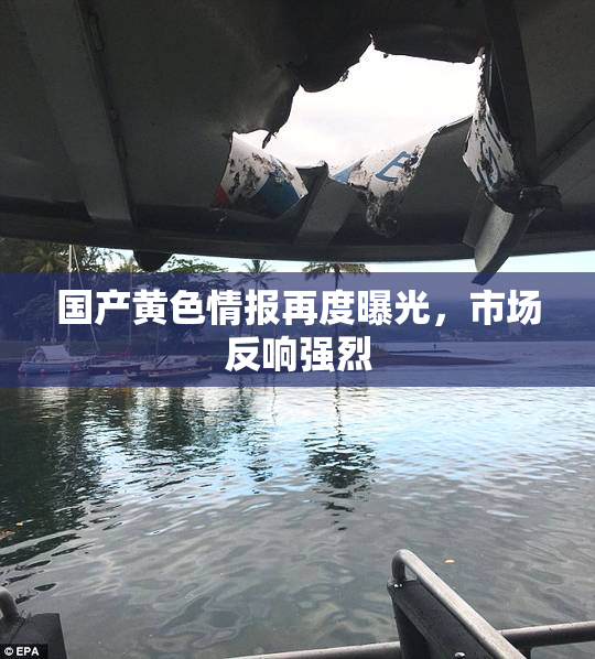 国产黄色情报再度曝光，市场反响强烈