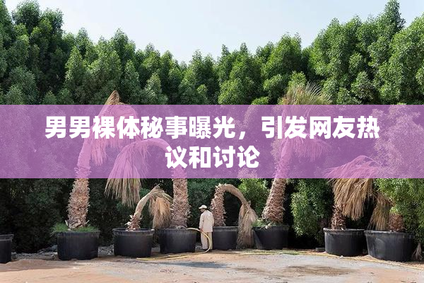 男男裸体秘事曝光，引发网友热议和讨论