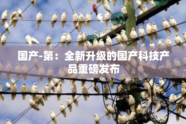 国产-第：全新升级的国产科技产品重磅发布