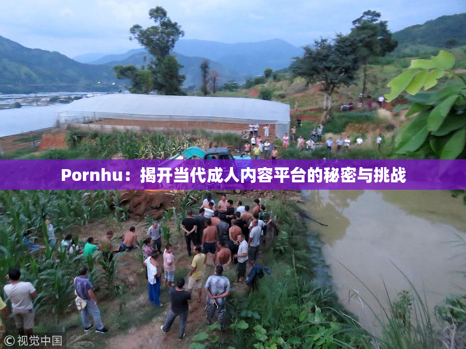 Pornhu：揭开当代成人内容平台的秘密与挑战