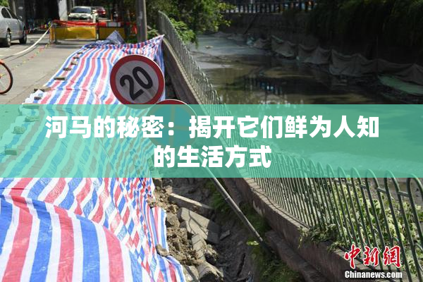 河马的秘密：揭开它们鲜为人知的生活方式