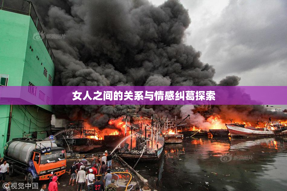 女人之间的关系与情感纠葛探索