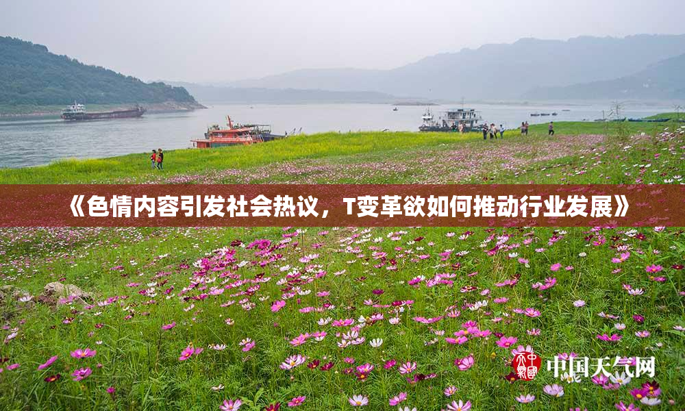 《色情内容引发社会热议，T变革欲如何推动行业发展》