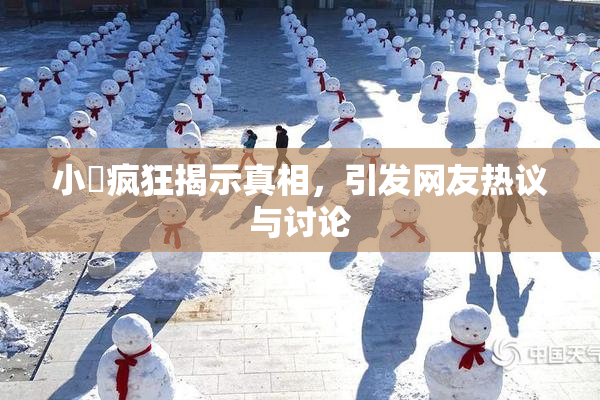 小泬疯狂揭示真相，引发网友热议与讨论