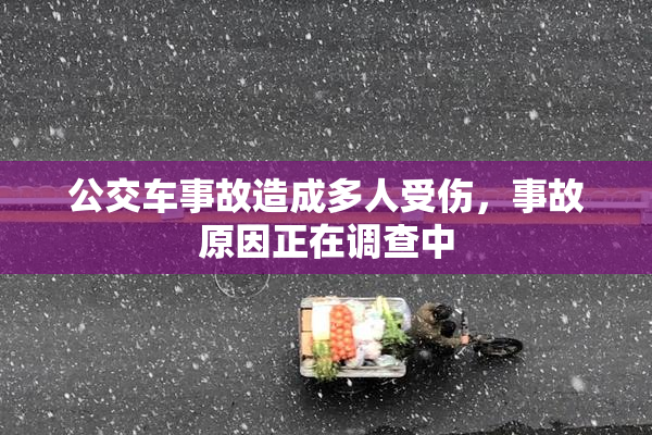 公交车事故造成多人受伤，事故原因正在调查中