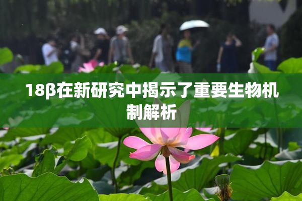 18β在新研究中揭示了重要生物机制解析