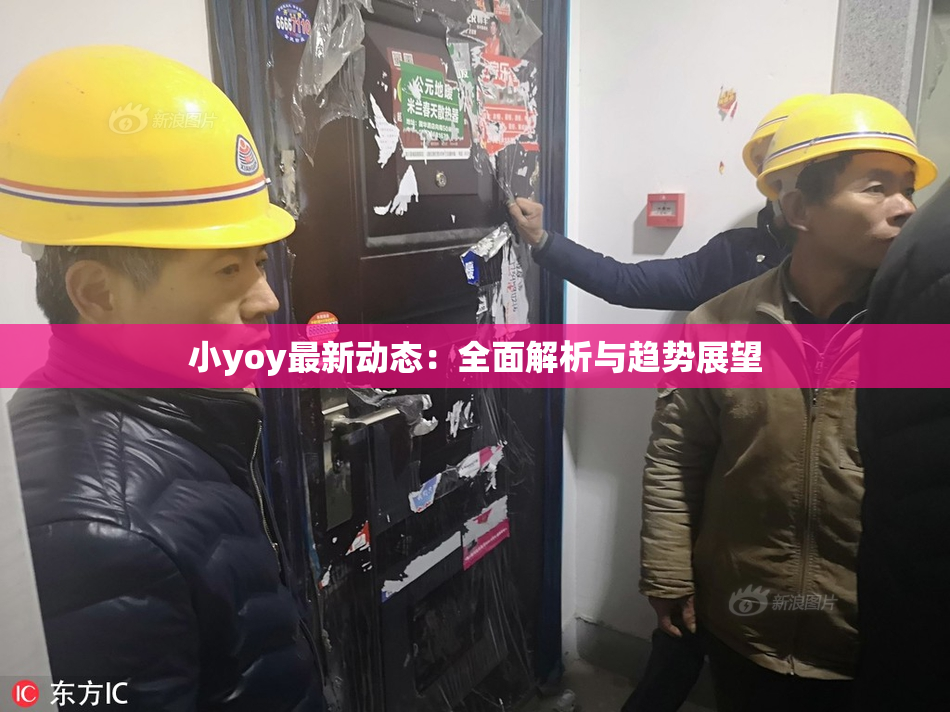 小yoy最新动态：全面解析与趋势展望