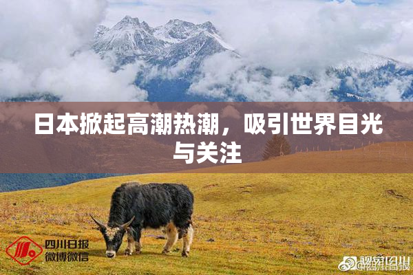 日本掀起高潮热潮，吸引世界目光与关注