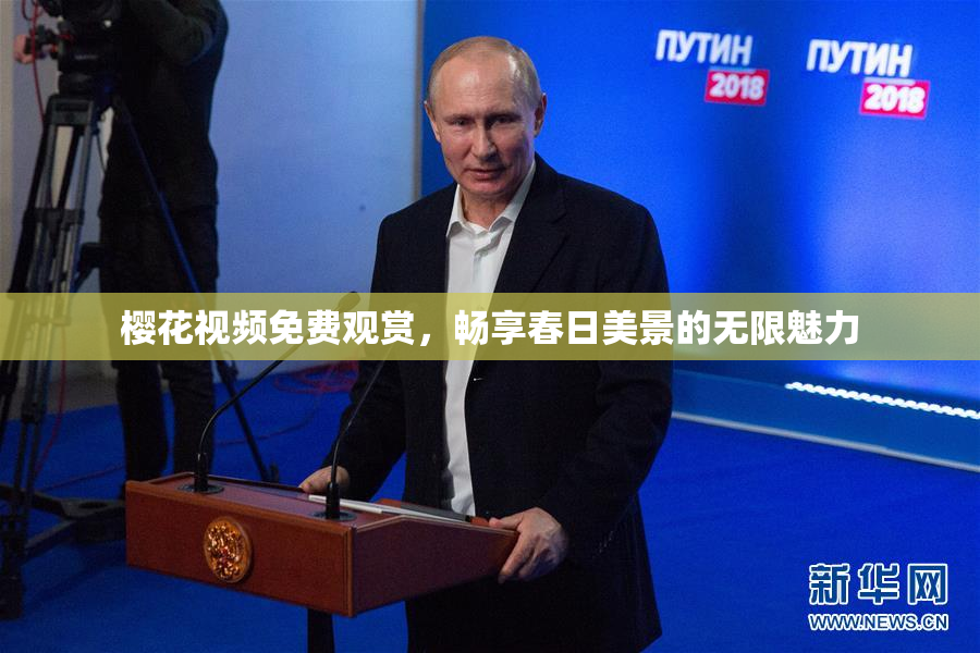 樱花视频免费观赏，畅享春日美景的无限魅力