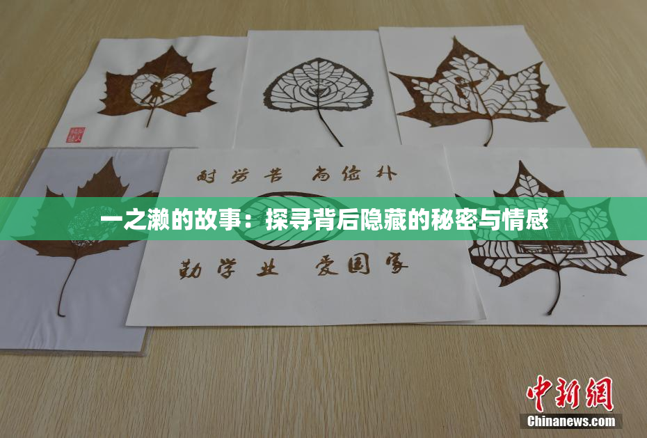 一之濑的故事：探寻背后隐藏的秘密与情感