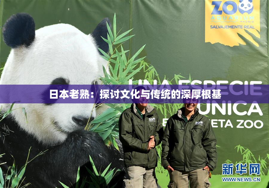 日本老熟：探讨文化与传统的深厚根基