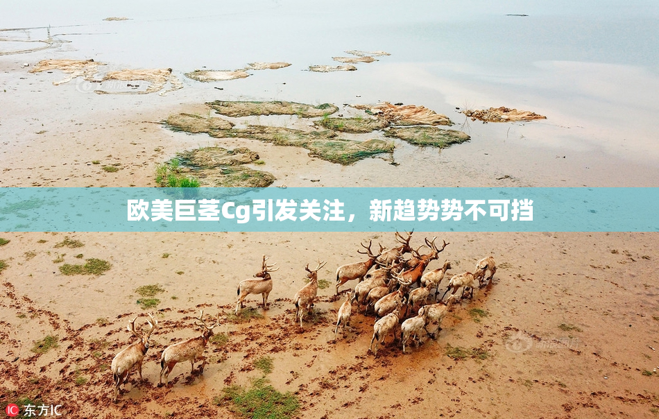 欧美巨茎Cg引发关注，新趋势势不可挡