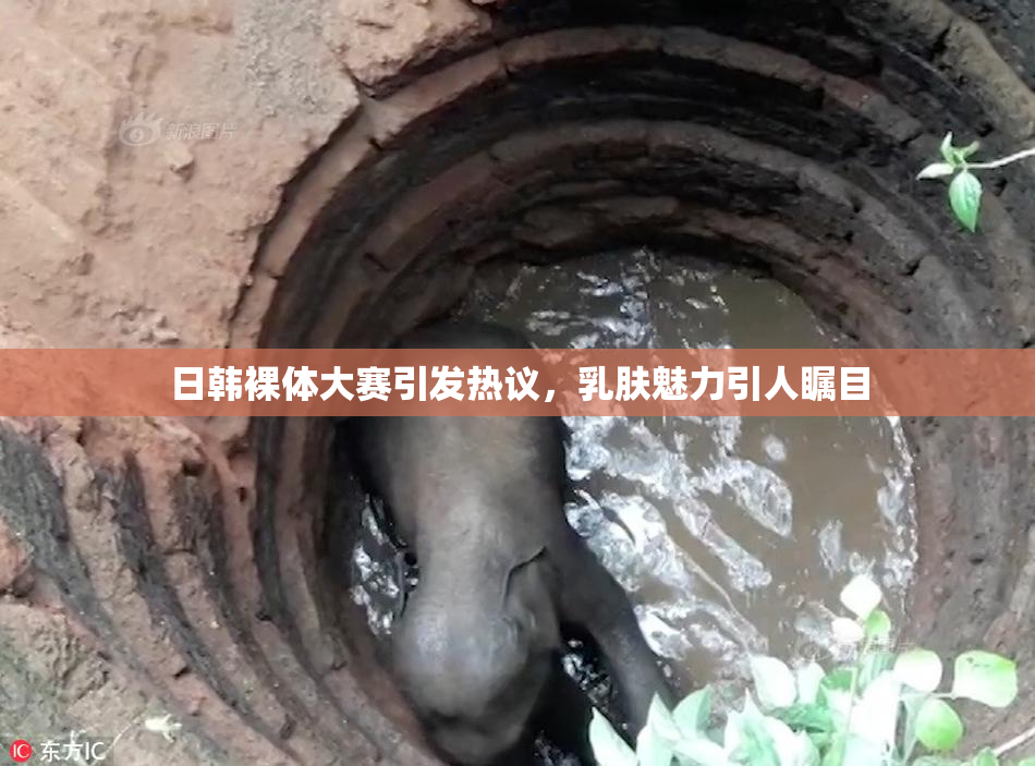 日韩裸体大赛引发热议，乳肤魅力引人瞩目