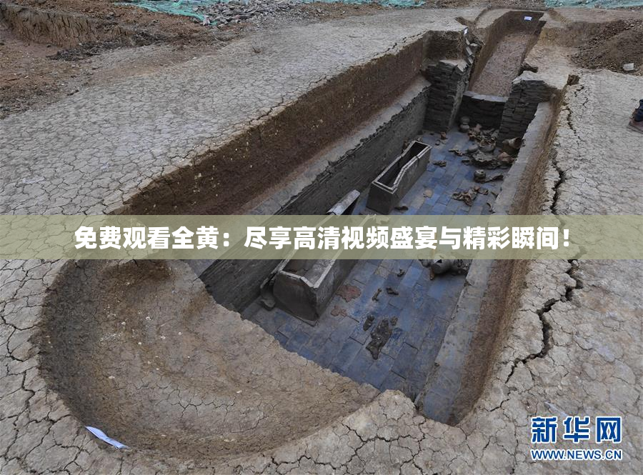 免费观看全黄：尽享高清视频盛宴与精彩瞬间！