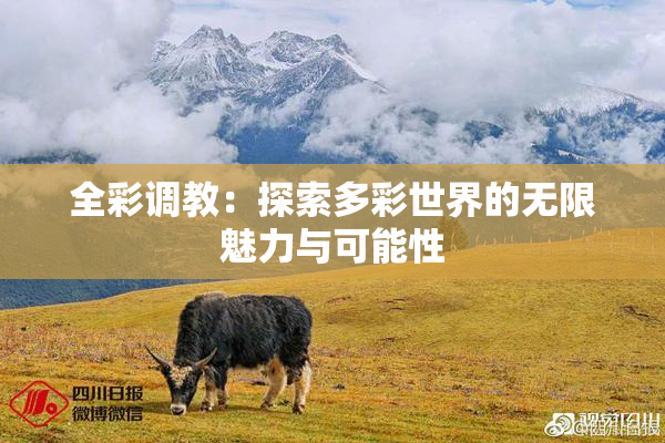 全彩调教：探索多彩世界的无限魅力与可能性