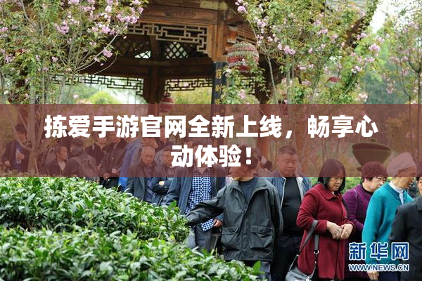 拣爱手游官网全新上线，畅享心动体验！