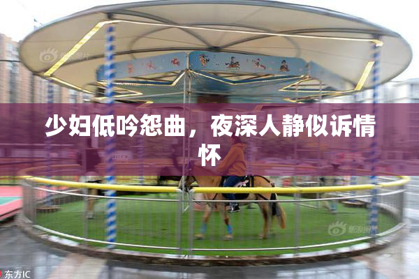 少妇低吟怨曲，夜深人静似诉情怀